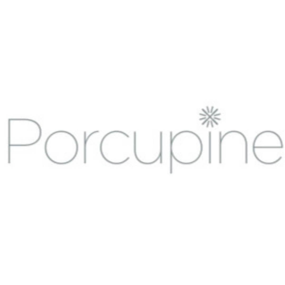 Porcupine  Shower Hair Accessory (@your.porcupine) • Instagram photos and  videos